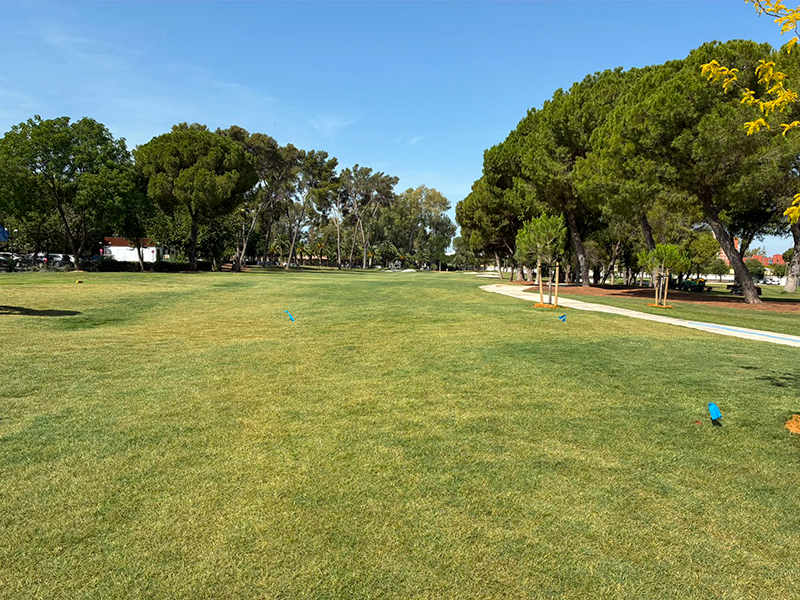 Mejoras y trabajos en el campo de golf