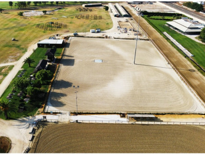 Renovación del seto de la pista Central de Salto